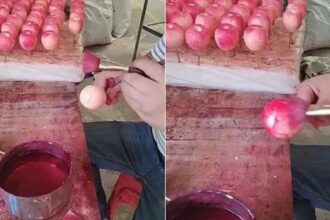 Shopkeeper seen coloring apples, video goes viral on social media, watch