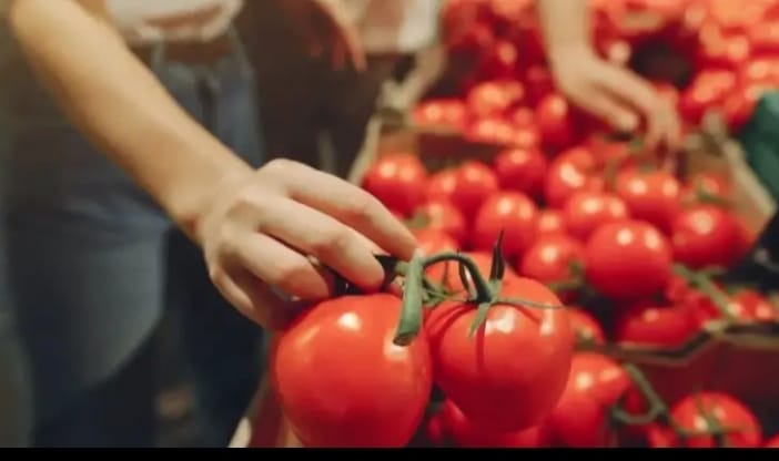 Tomato prices will come down, government told its future plan