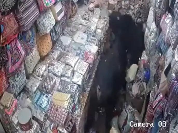 Two bulls fighting entered a shop, crushed two girls, narrowly escaped death, watch the video