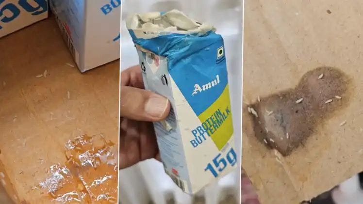 Worms found in Amul brand buttermilk, customer complained on social media, you too watch this shocking video