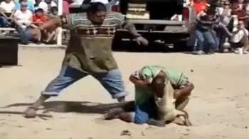 Doing stunts with crocodile proved costly for the man, a terrible accident happened, watch the video