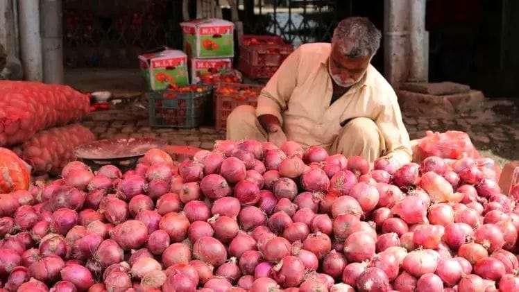 Onion has suddenly become so cheap in the market, you will be overjoyed to know the new price