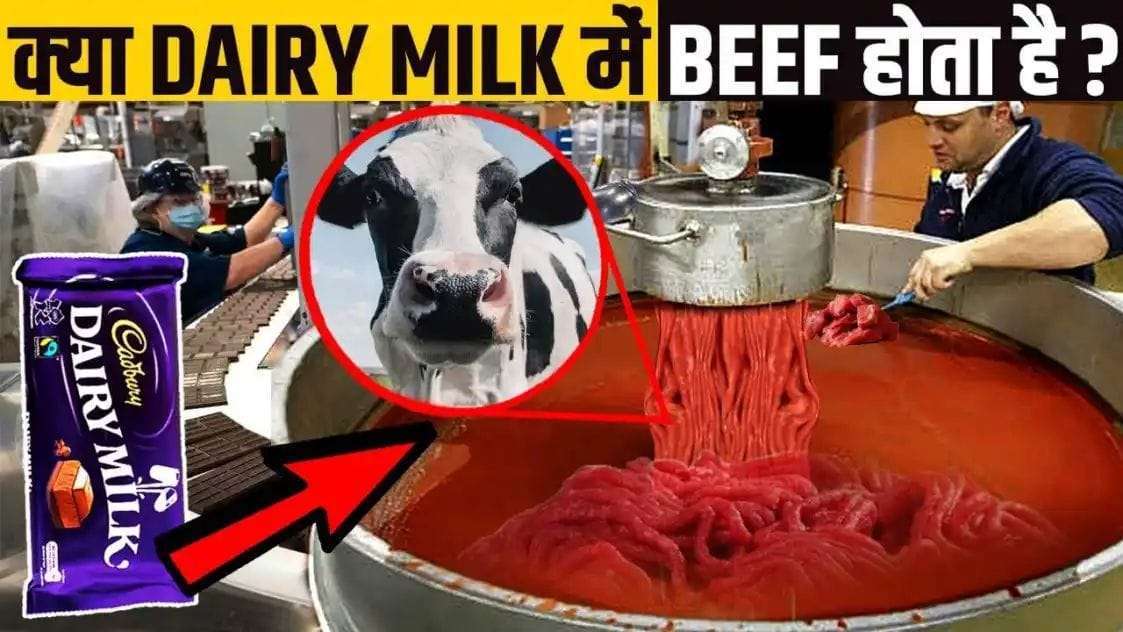 How is Dairy Milk Chocolate made in India, does it contain beef? Know the whole truth