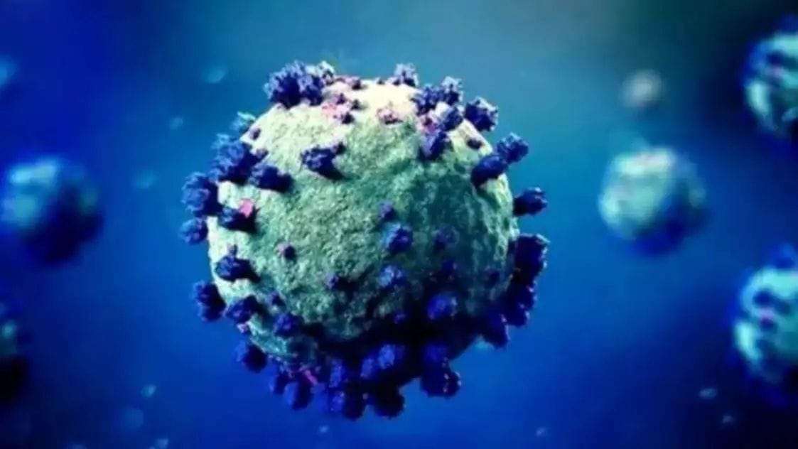 Another new virus found in China, one patient went into coma, directly affects the brain