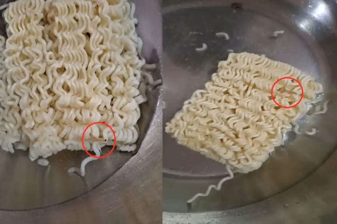 If you are also fond of Maggi then be careful, there is something in Maggi, after knowing which you will hardly eat Maggi again