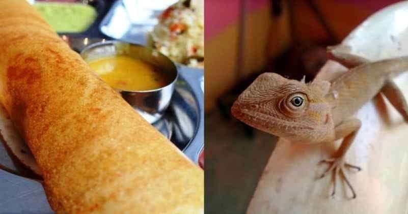 A family reached a restaurant in Roorkee but got shocked as soon as they ordered food, a dead lizard was found in the food