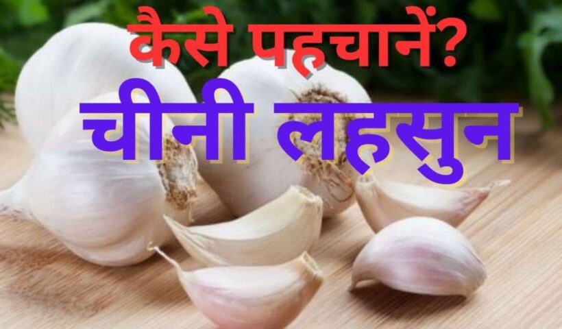 You should not be eating Chinese garlic, it is harmful for health, this is how to identify it