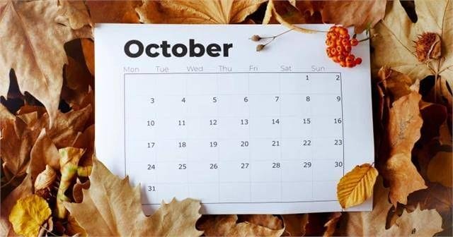 Special Holiday 2024: There will be a public holiday on October 2 and a special holiday has also been announced on October 5, know why?