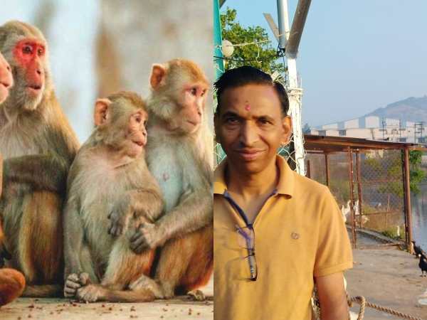 monkey-terror-from-road-to-house-in-almora-complaint-lodged-in-cm-helpline