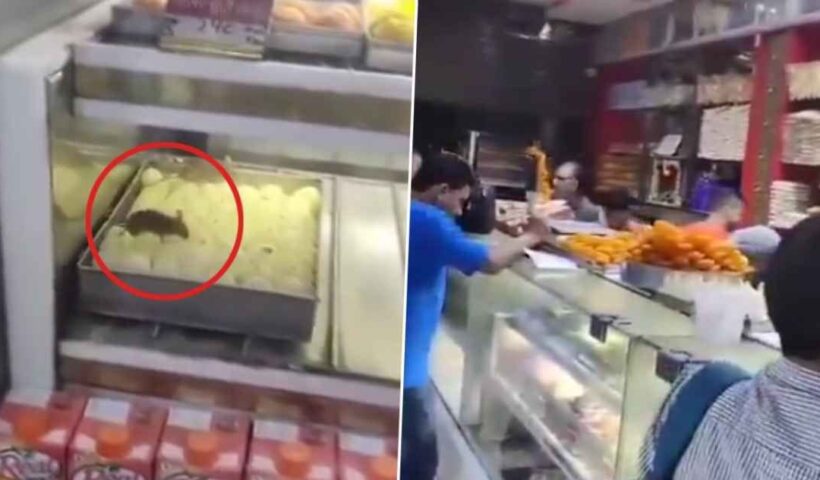 Rat running on sweets! Video goes viral, people get angry, watch