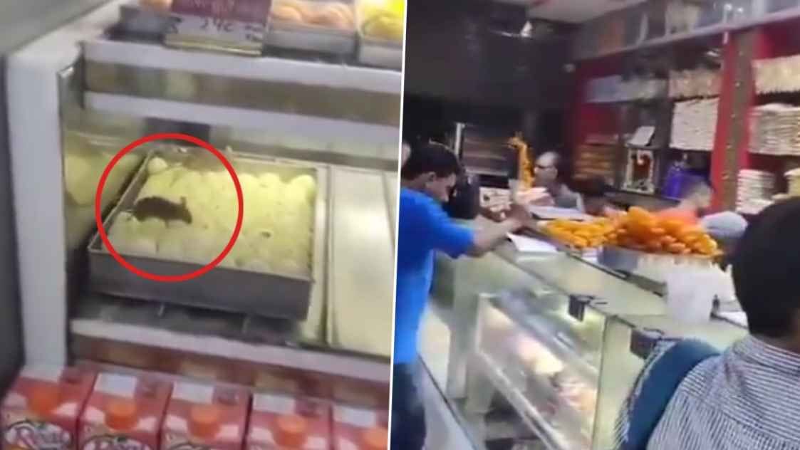 Rat running on sweets! Video goes viral, people get angry, watch