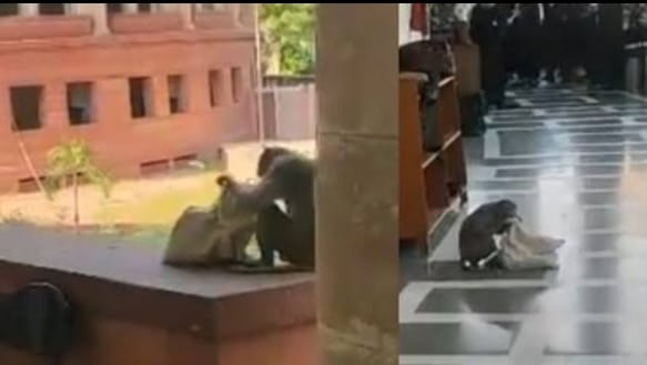 Theft happened in broad daylight in the country's biggest court, Supreme Court, all the lawyers kept looking on, see viral video