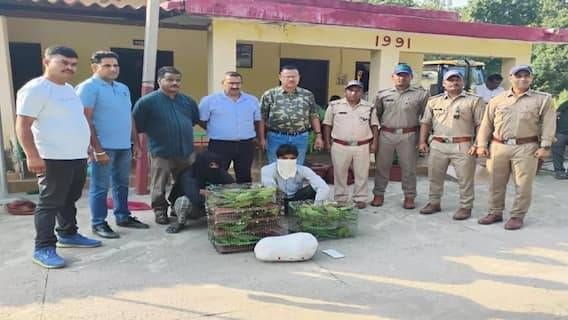 Forest department exposed the smuggling of birds in Uttarakhand, two people were arrested