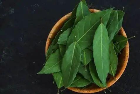 Benefits of Eating Curry Leaves on an Empty Stomach