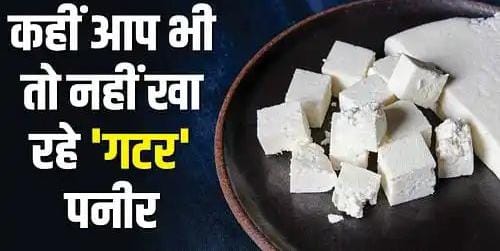 Paneer was being made from chemicals, Food Safety Department team raided