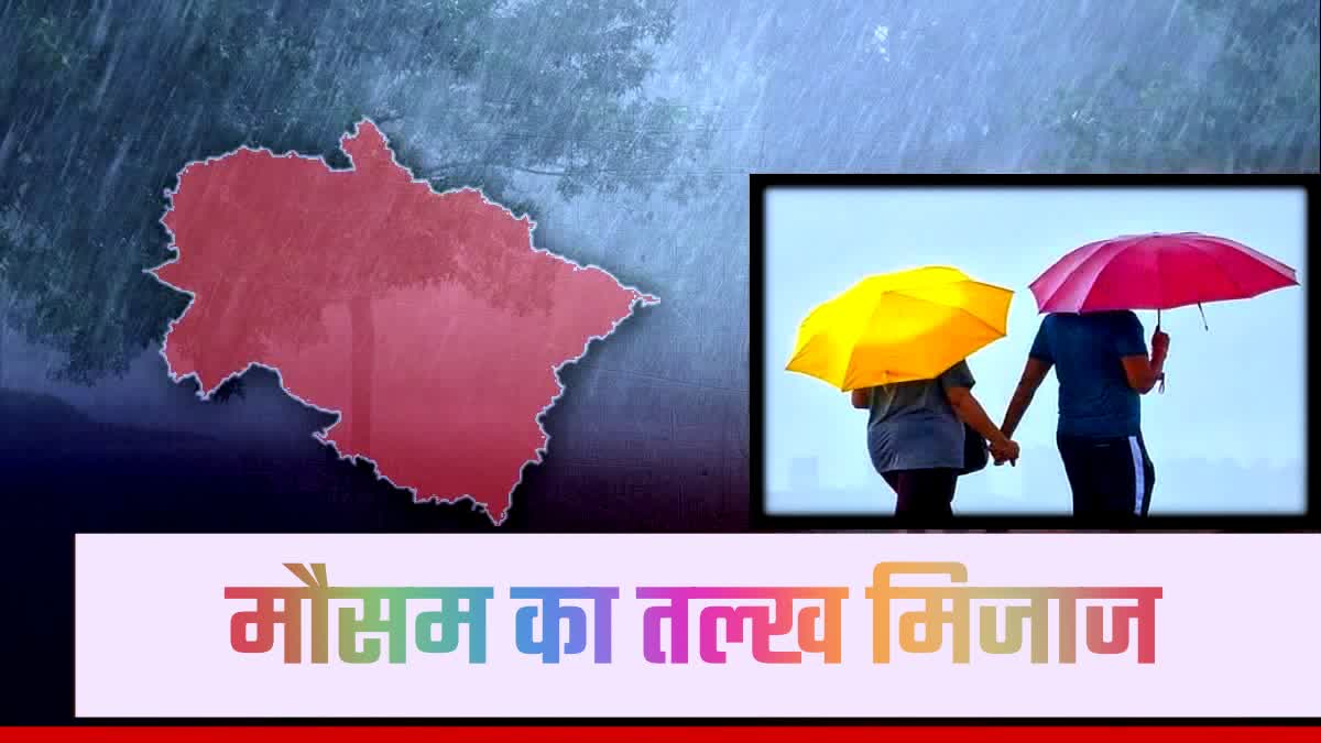 Rain is expected in these districts of Uttarakhand, Meteorological Department has issued fog alert